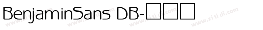 BenjaminSans DB字体转换